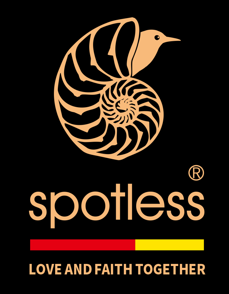 spotless audio logo